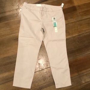 Pixie pants. New. Size 16